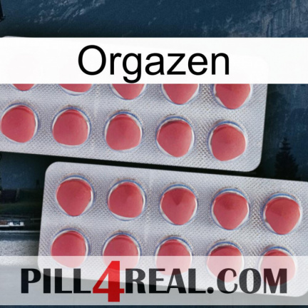 Orgazen 19
